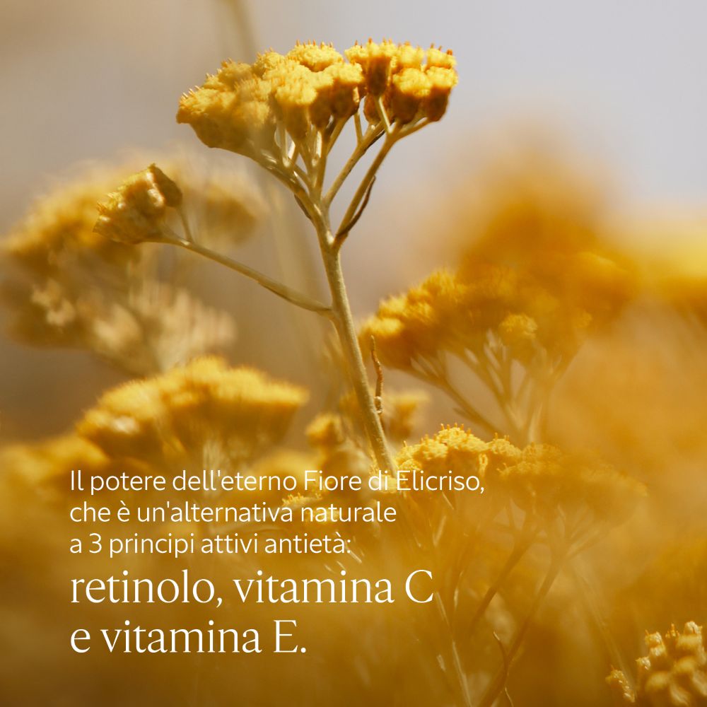 Contorno Occhi Immortelle Précieuse 15 ml