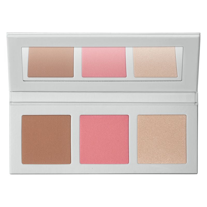 Palette Viso Icy Bloom n.356