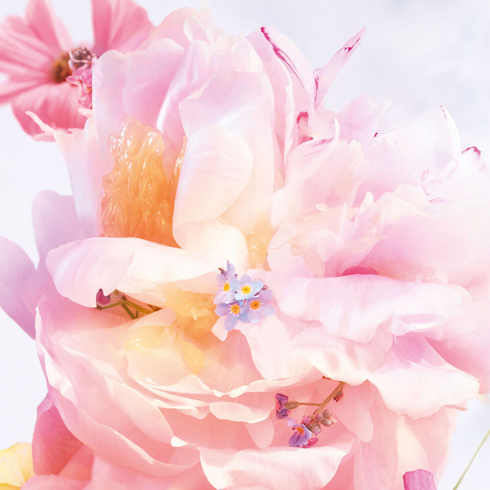 Miss Dior Blooming Bouquet Eau de Toilette Roller-Pearl
