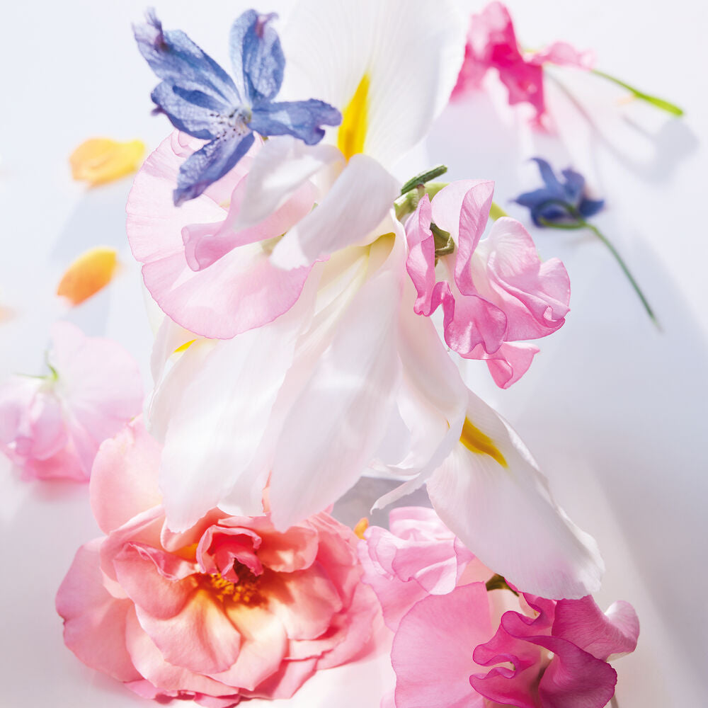 Miss Dior Eau de Parfum Roller-Pearl